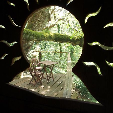Les Cabanes De Kermenguy Cléder Buitenkant foto