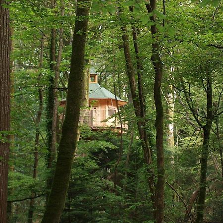 Les Cabanes De Kermenguy Cléder Kamer foto