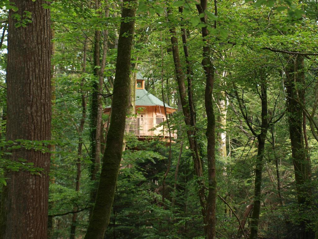 Les Cabanes De Kermenguy Cléder Kamer foto